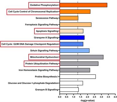 Positive allosteric GABAA receptor modulation counteracts lipotoxicity-induced gene expression changes in hepatocytes in vitro